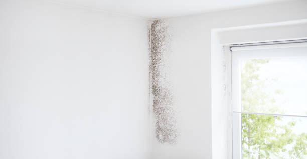 Best Airborne Mold Testing  in Eagle Crest, OR
