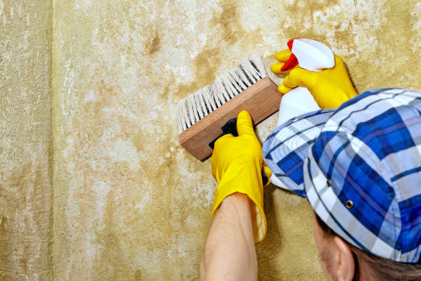 Best Dehumidification Services  in Eagle Crest, OR
