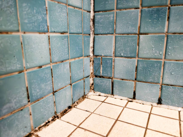 Best HVAC Mold Inspection and Cleaning  in Eagle Crest, OR