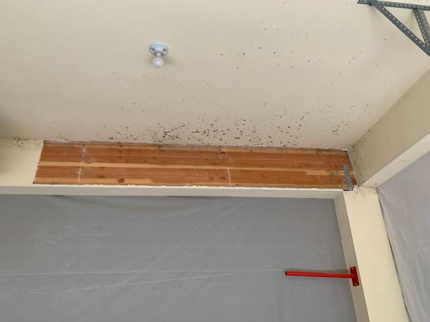 Best Asbestos and Lead Testing During Mold Inspection  in Eagle Crest, OR