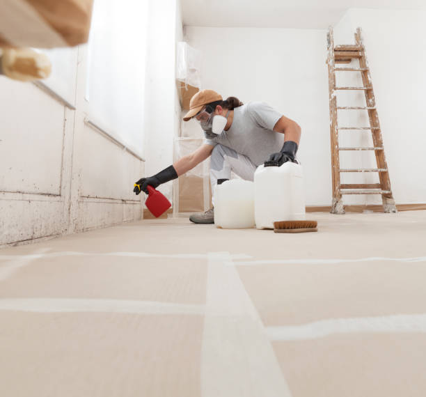 Best Mold-Related Health Consultation  in Eagle Crest, OR
