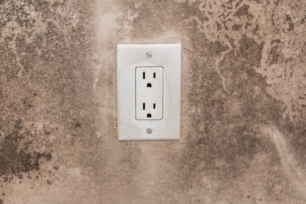 Best Commercial Mold Inspection  in Eagle Crest, OR